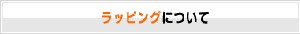��åԥ󥰤ˤĤ���